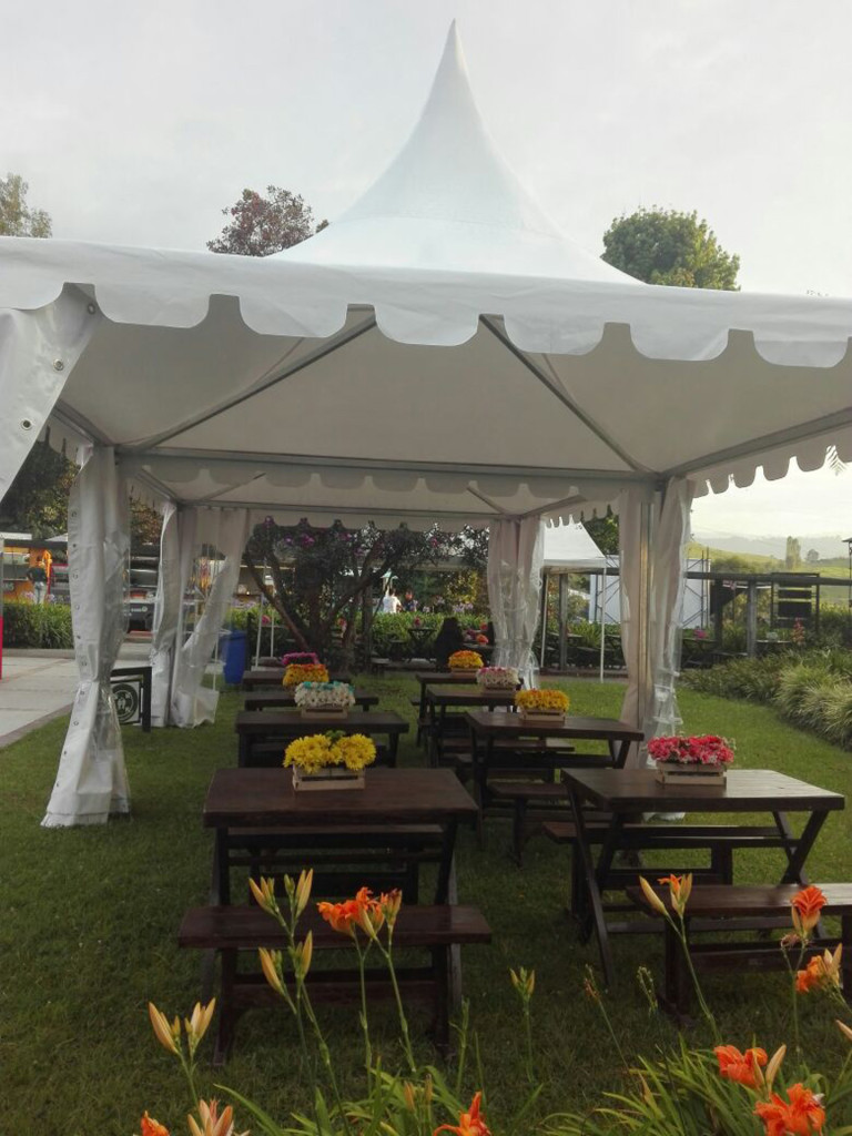 2.3. Festival Orquídeas, Café y Arte
