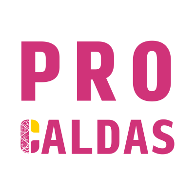 ICONOS PRO CALDAS-07