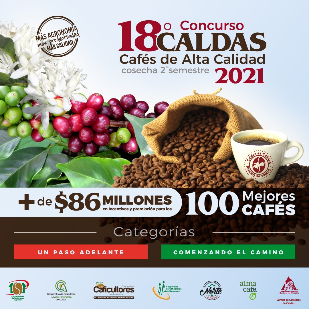 Imagen 18 concurso redes